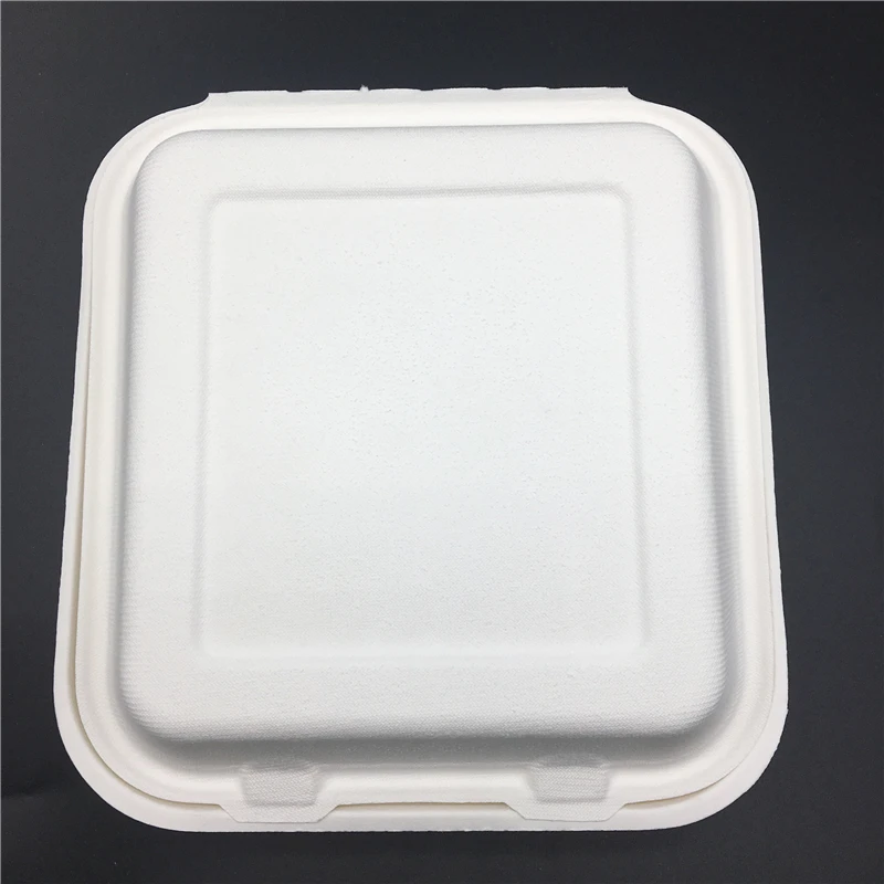 
compostable sugarcane food box food packaging with compartment 