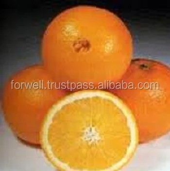PREMIUM FRESH ORANGES - Big Orange fruits Best Price offer