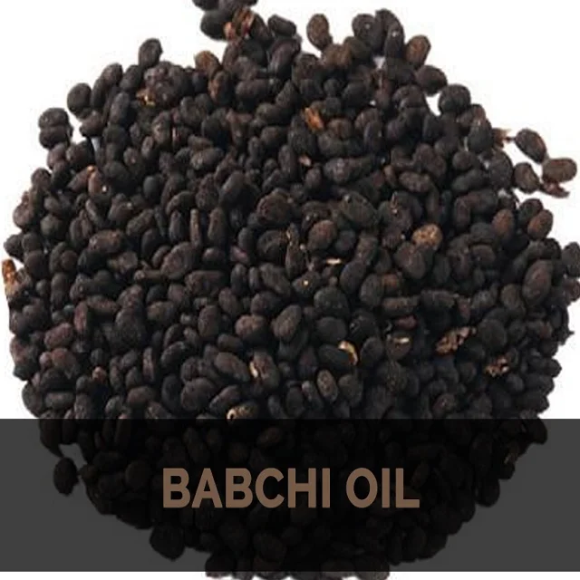 Well Supplier of Babchi Seed Carrier Oil in India