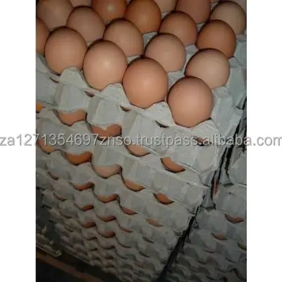 High Standard Best Quality Chicken Egg Fresh and Natural Egg Wholesale Price Animal Products Eggs