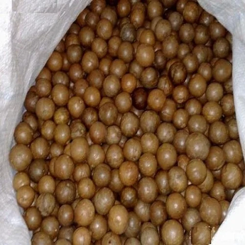 Wholesale Top Macadamia Nuts  for sale