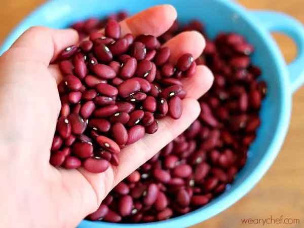 RED BEANS HIGH QUALITY FROM VIETNAM 2021/Whatsapp +84 845 639 639