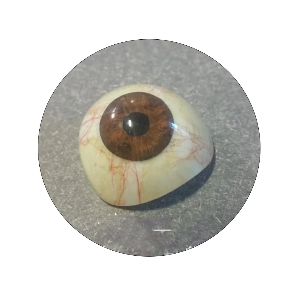 Best Quality Artificial Eyes Prosthetic any one Eye Superior Quality Best Lens Eye At Best Price