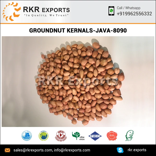 
Raw Java Peanut at Low Price 