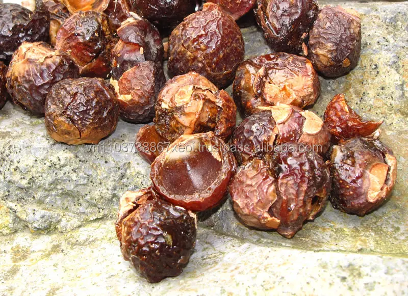 Soap Nuts Cleaning / Natural Soap Nuts 2020 /+84-845-639-639 (Whatsapp)
