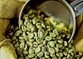 COMPETITIVE PRICE OF GREEN COFFEE BEAN VIETNAM