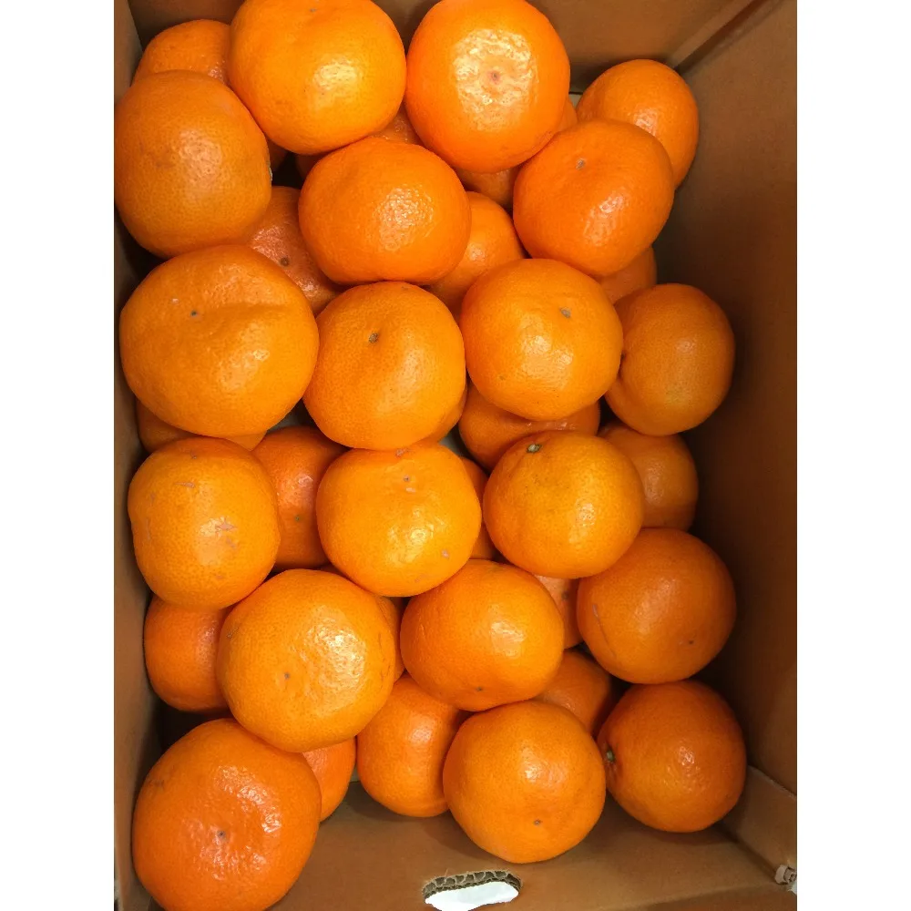 Best Brands Fruit Citrus Orange, 100% Natural Fresh Citrus Fruits
