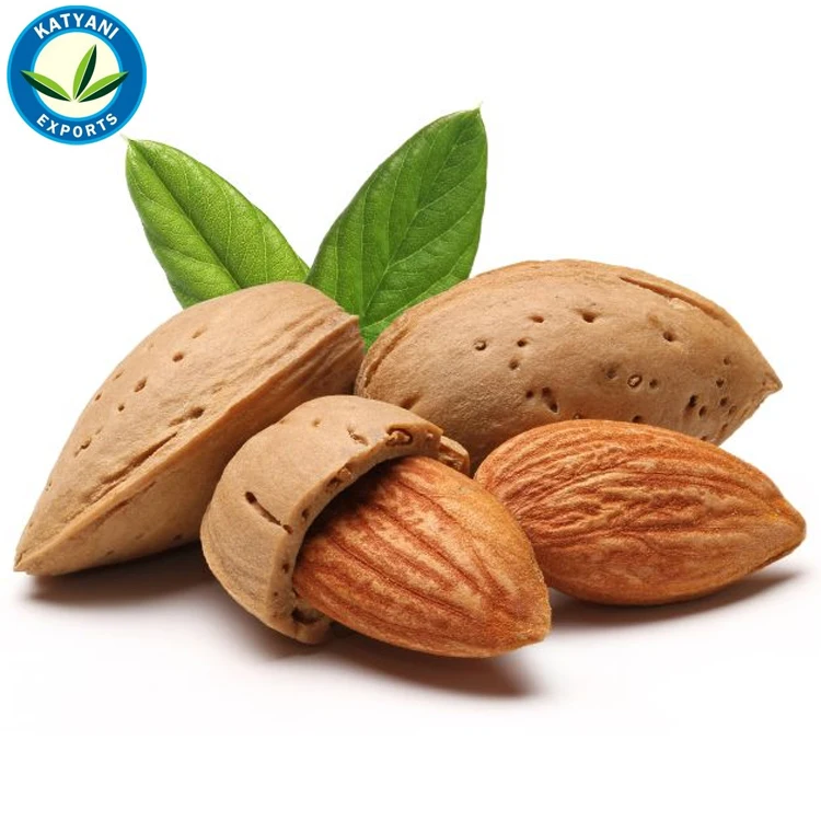 Organic Sweet Almond Essential Oil Price