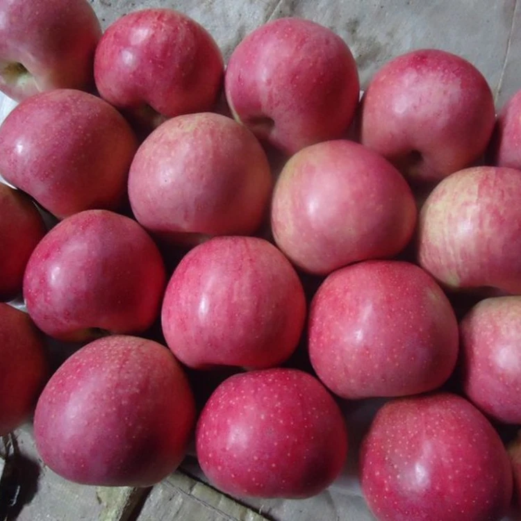 
Fresh Cheap Price Fuji Apples 