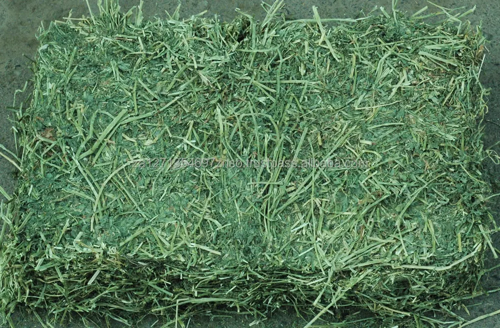 Top Quality Alfafa Hay Pure Alfalfa Hay/timothy Hay/ Hay For Animal Feed, Alfalfa Hay wholesale price. Good Prices