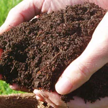 COCO PEAT/COCO PITH/COIR PITH