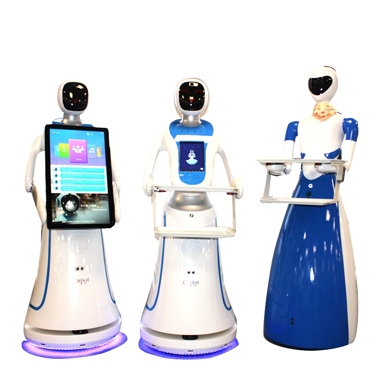 
17 Dof Humanoid Robot Intelligent Speaking Welcom Robot Service Robot In Home Room 