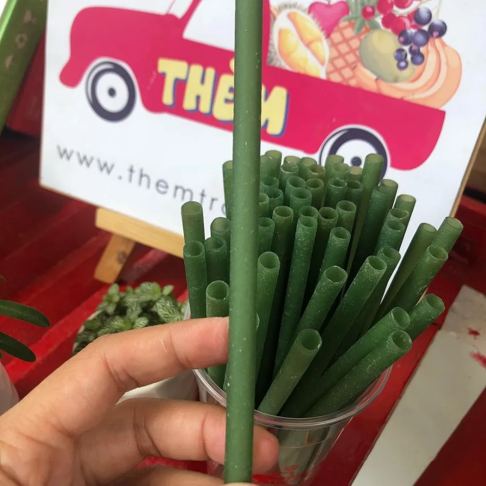 Eco-friendly Rice Straws Made in Vietnam | Good price