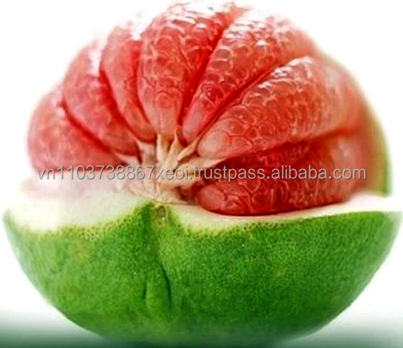 Good quality best price Vietnamese pomelo grapefruit 2021