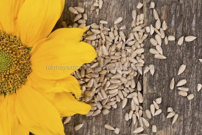 
HULLED SUNFLOWER SEEDS ORIGIN INDIA FROM NIK-MAY EXPORTS LLP 