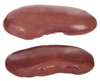 FROZEN PORK FRONT HOCK, BELLY, SPARE RIBS READY FOR SUPPLY