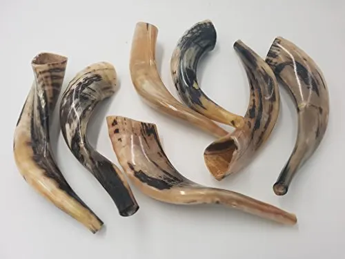 Shofar Kosher Ram Horn Great For Rosh Hashana Yom Kippur Yamim Noraim Bar & Bat Mitzvah Wedding Jewish Holidays Shabbat