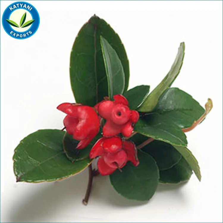 100% Pure Wintergreen Oil (Gaultheria)