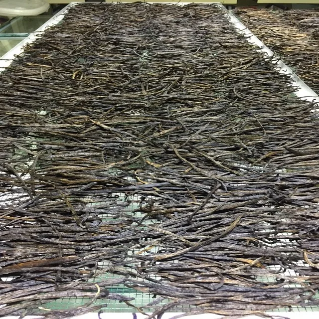 Ванильные бобы