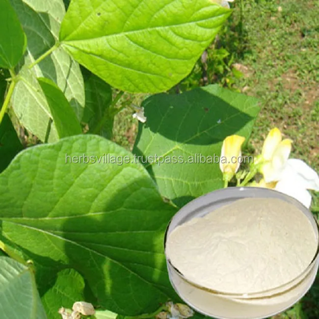 GMP/ISO Certified White Kidney Beans Extract Powder