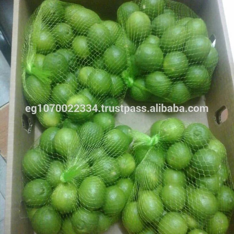 Fresh seedless lime to Thailand