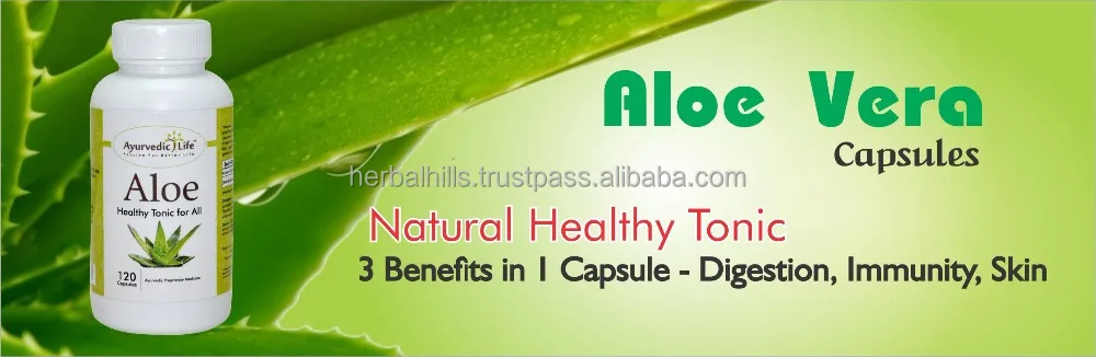 
Best selling Ayurvedic Life GMP Certified Aloe vera Aloe capsule, 400mg, 120 capsules for advanced healthcare 