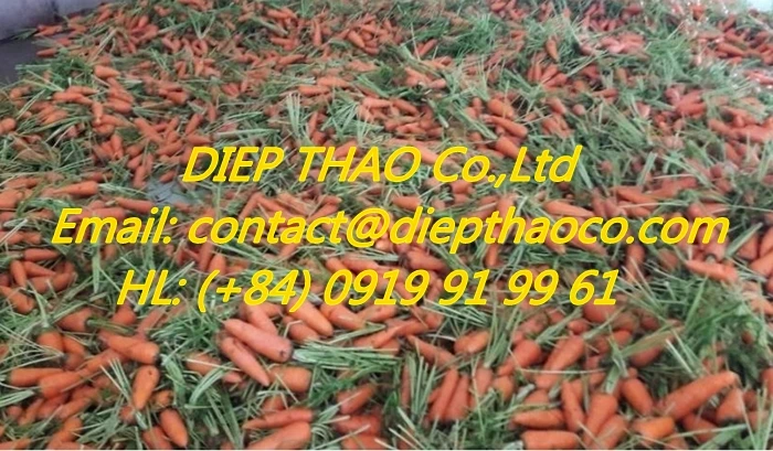 dried carrot