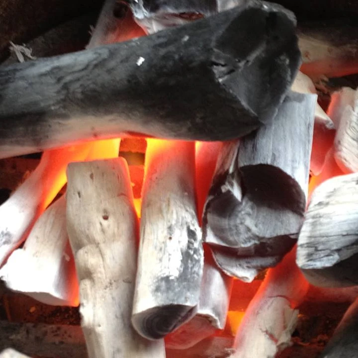 
BIGGEST PROMOTION: HIGHEST GRADE BINCHOTAN WHITE CHARCOAL FOR BBQ 