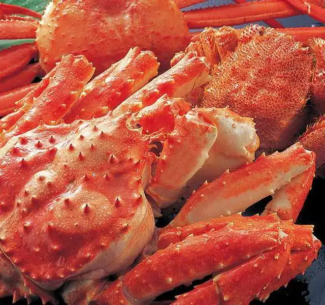 live red king crab 5000kg available