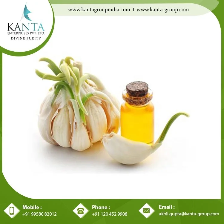 Natural Anti-Oxidant Garlic Essential Oil with Private Label Used for Skin Care low price