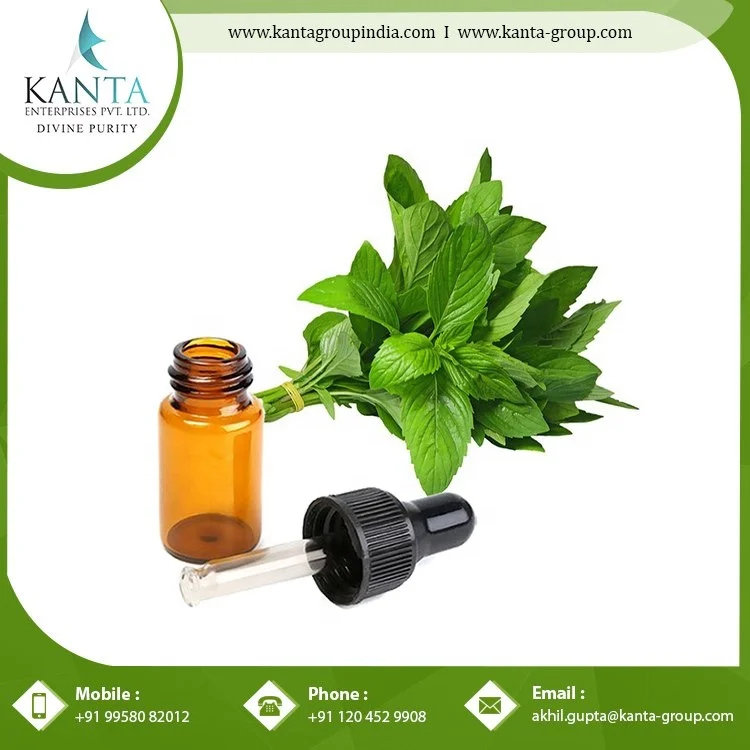 Bulk Supply  Peppermint Essential Oil Used for Pain Relief and skin Care Available at Low Price from Indian Exporter