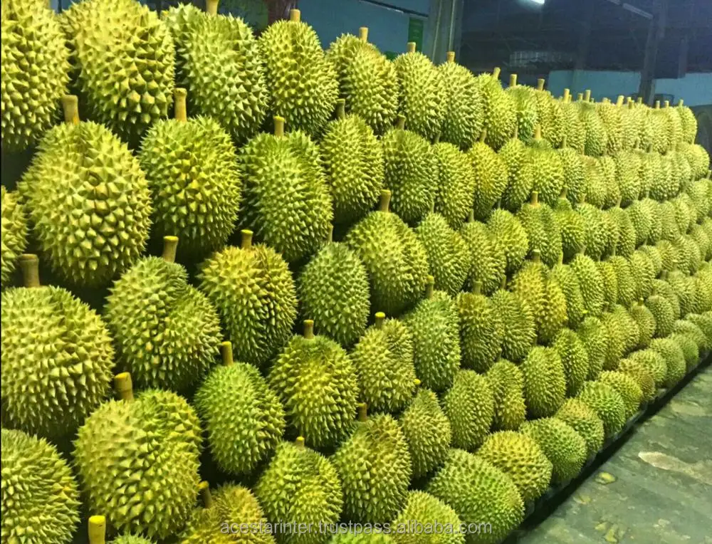 Замороженный Королевский дуриан, замороженный дуриан из Таиланда