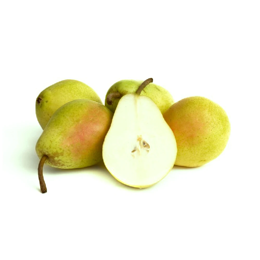 
Pear Santa Maria 