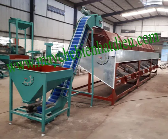 Cashew nut processing machine/raw cashew size grading with cheap price from VietNam In 2023