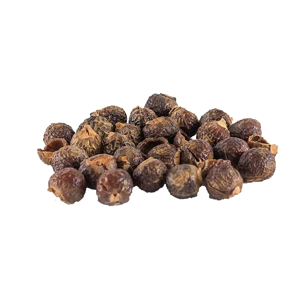 Dried Soap Nuts