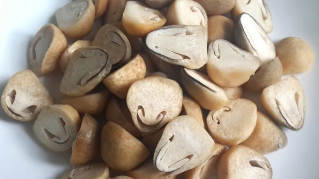 
TOP QUALITY! OFFER VIETNAMESE FROZEN STRAW MUSHROOM WITH HIGH QUALITY AND BEST PRICE 