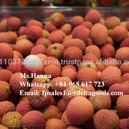High Quality Canned Lychee / Litchi / Lichee In Vietnam in 2020 / Whatsapp  84 845639639