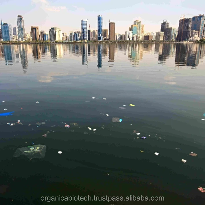 Industrial enzymes for sewage treatment of clogged pipelines