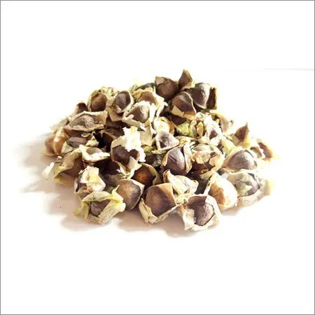Special pkm1 moringa seeds from  india