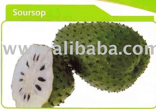 FRESH SOURSOP/ GRAVIOLA - WHOLE YEAR SUPPLY - 2023 GOOD PRICE