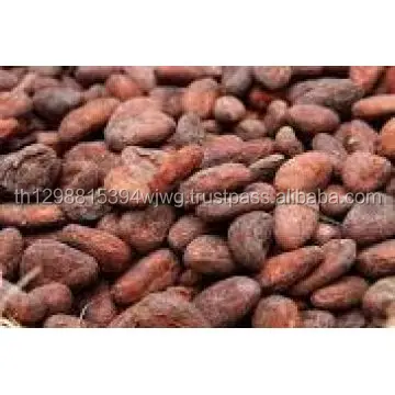 Good quality Dried Grade A Cocoa/ Cacao/ Chocolate bean Best Price