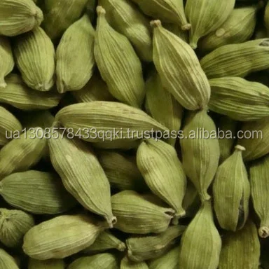 GREEN CARDAMOM / CARDAMOM/GREEN CARDAMOM SIZE