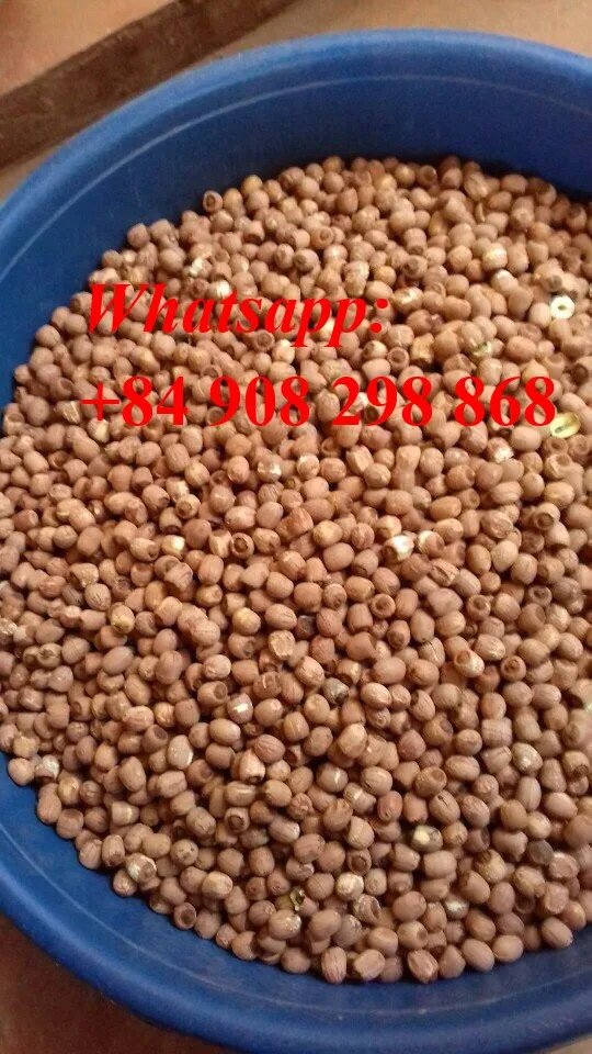 the high quality lotus seeds/ Vivian Ha +84 33 8820462