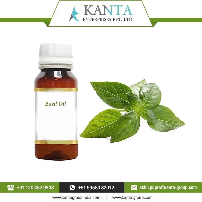 100% Pure and Natural Basil Essential Oil Reducing disease-causing inflammation Low Price from India