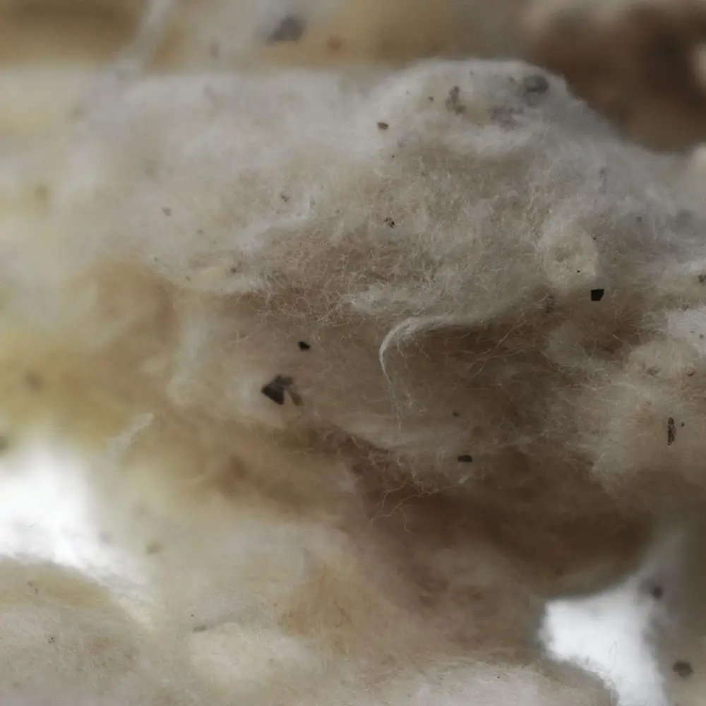 
Cost Competitive for Open End spinning Raw White Low Grade Raw Cotton 