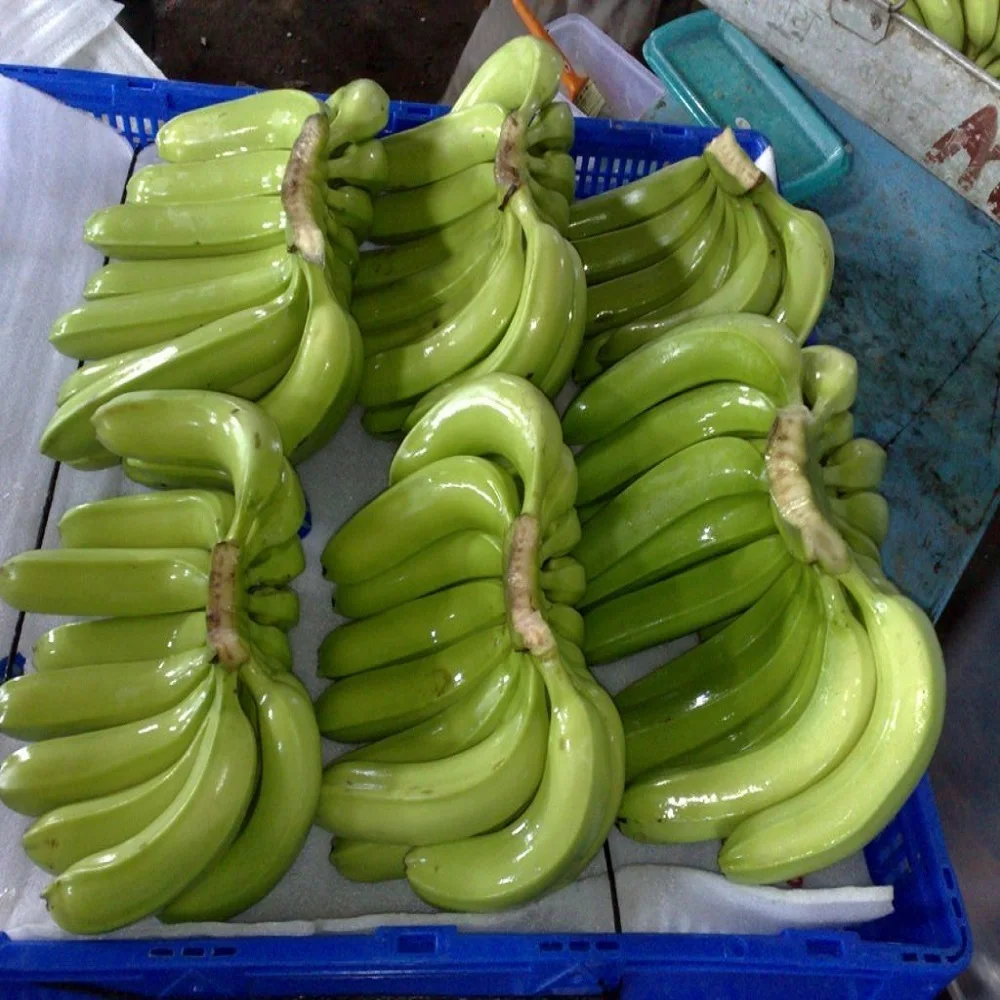Fresh Green Dole plantain and banana