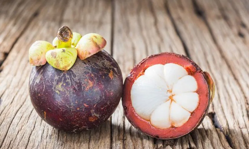 VIET NAM IMPORT MANGOSTEEN/ FRESH MANGOSTEEN WHATSAPP+0084 845 639639