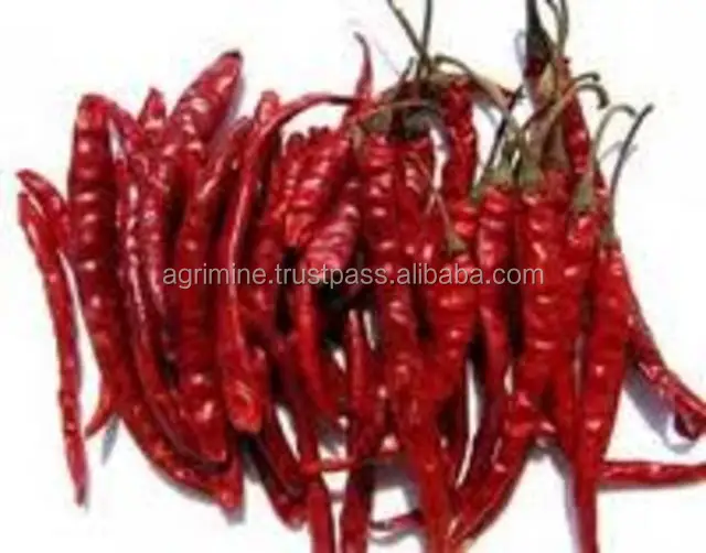 Long Wrinkled Chilly from India with good quality and also having different variety of packing