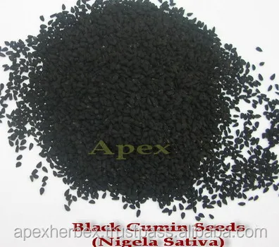 Black Cumin Seed Nigella Sativa Kalonji seeds organic