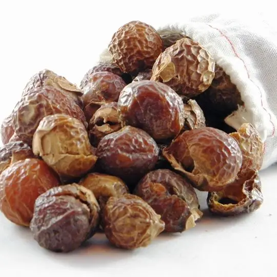 Dried Soap Nuts- saponin whatsapp +0084 845639639
